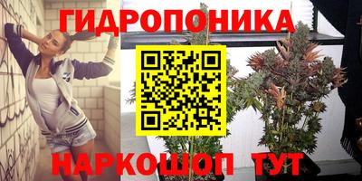 Альфа ПВП Можайск