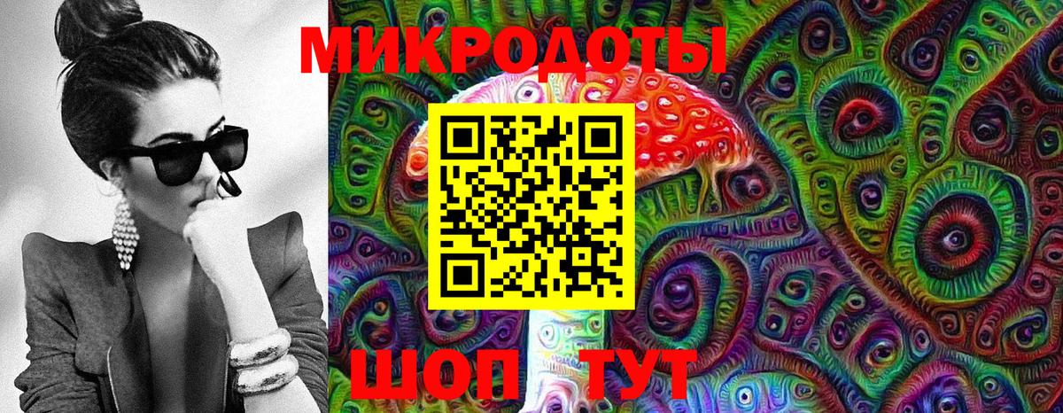 Строитель  Псилоцибиновые грибы Psilocybine cubensis  Вход с VPN 