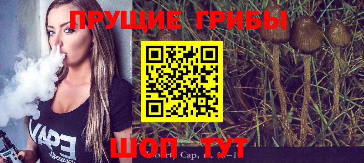 Галлюциногенные грибы GOLDEN TEACHER Строитель